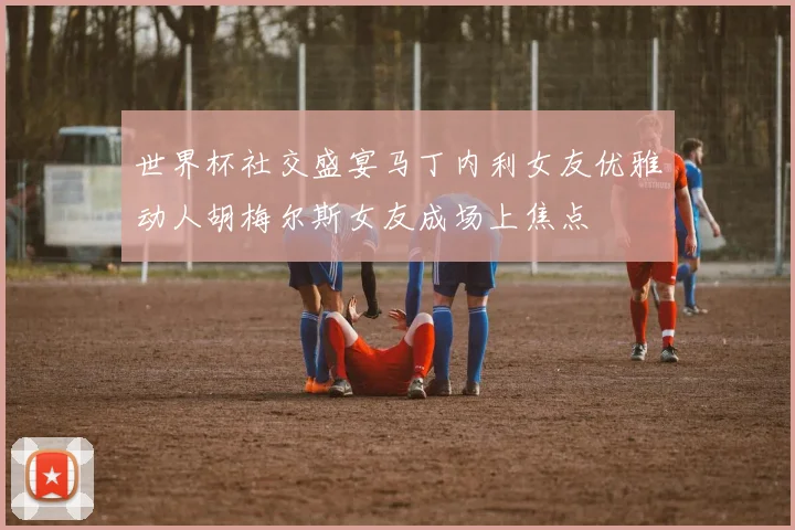 世界杯社交盛宴马丁内利女友优雅动人胡梅尔斯女友成场上焦点